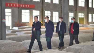 畢黎明到金彩山調(diào)研復(fù)工復(fù)產(chǎn)工作