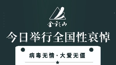 深切哀悼-抗擊新冠肺炎疫情斗爭犧牲烈士和逝世同胞