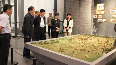 市文化和旅游局領導來公司調研