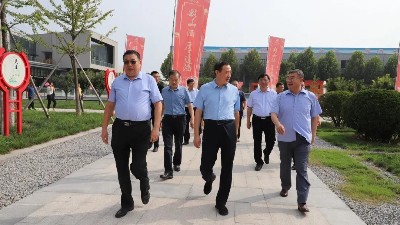 泰安市各縣市區人社局領導蒞臨公司檢查指導