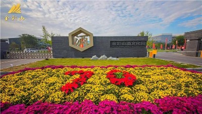 寧陽縣2019“金彩山”魯酒文化節開幕