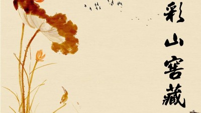 歷史沉淀之瑰寶-窖藏白酒