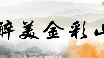 金彩山酒、千杯不醉、白酒行業中的佼佼者