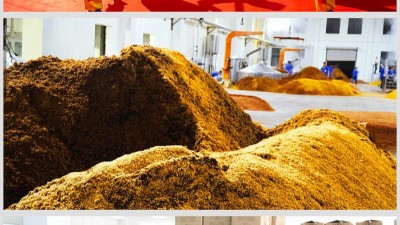 喝白酒最怕的不是沒酒，而是不懂酒