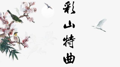 濃香型白酒代理，金彩山是你不錯的選擇