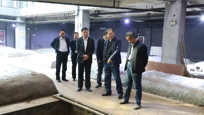 省政府安委會 來公司督導(dǎo)檢查安全生產(chǎn)工作