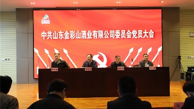 公司黨委圓滿完成換屆選舉工作