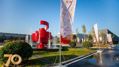 疫情影響的白酒分析